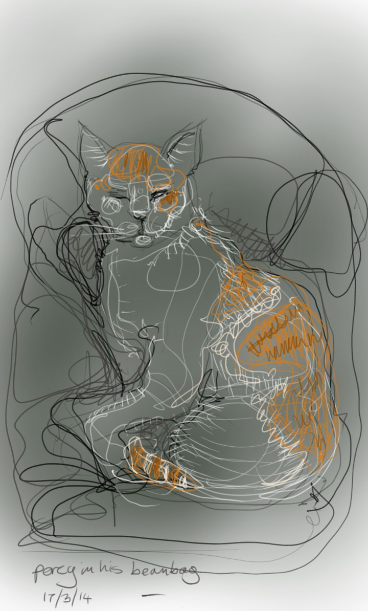 Percy Cat, looking very fine in his beanbag