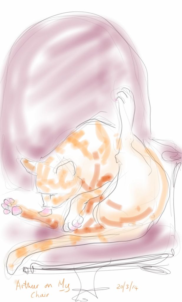 Arthur Cat washing in my chair
