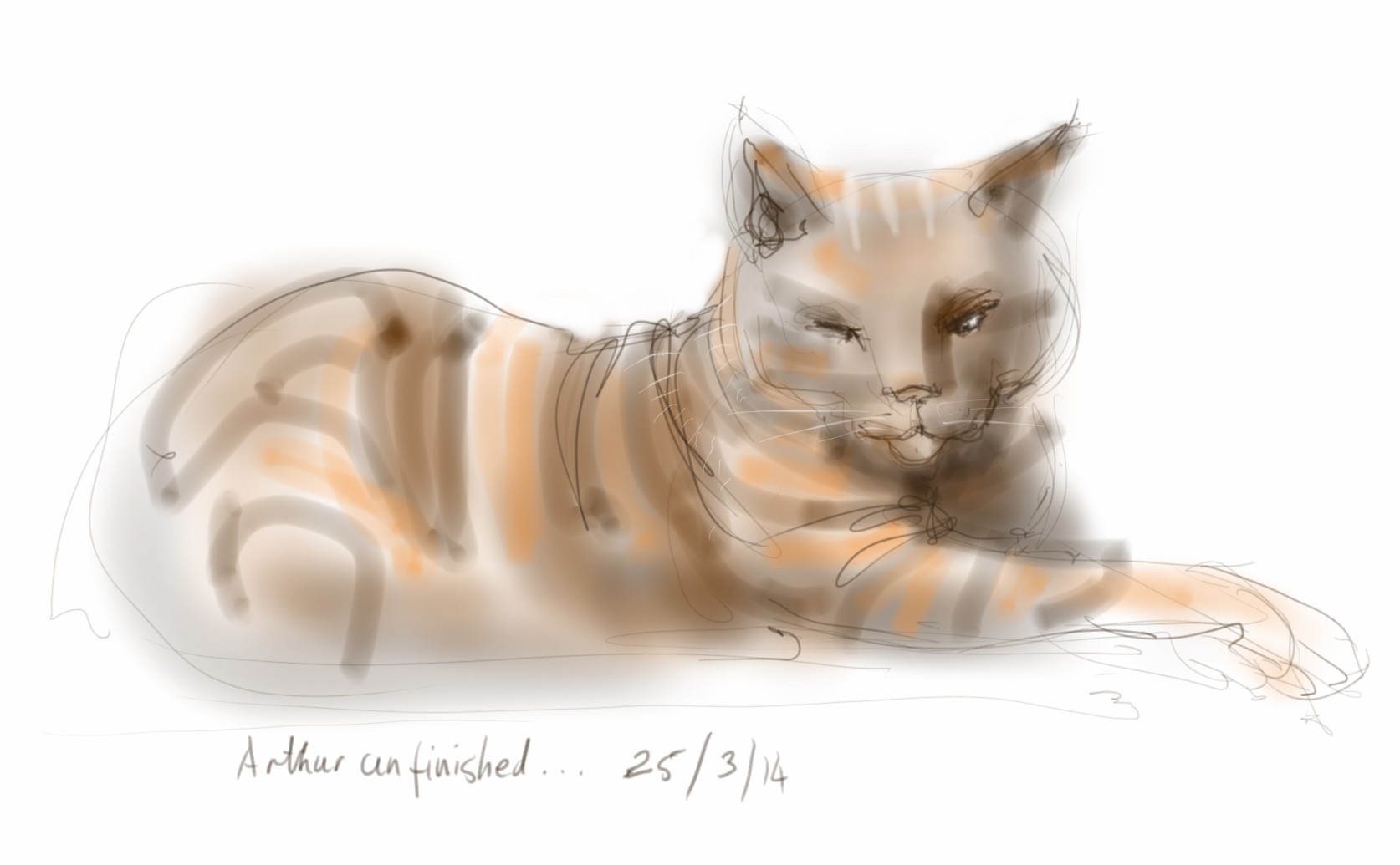 Arthur Cat sitting briefly