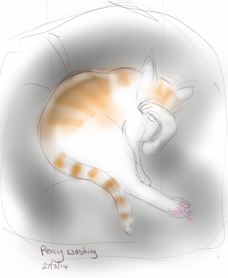 another long cat leg