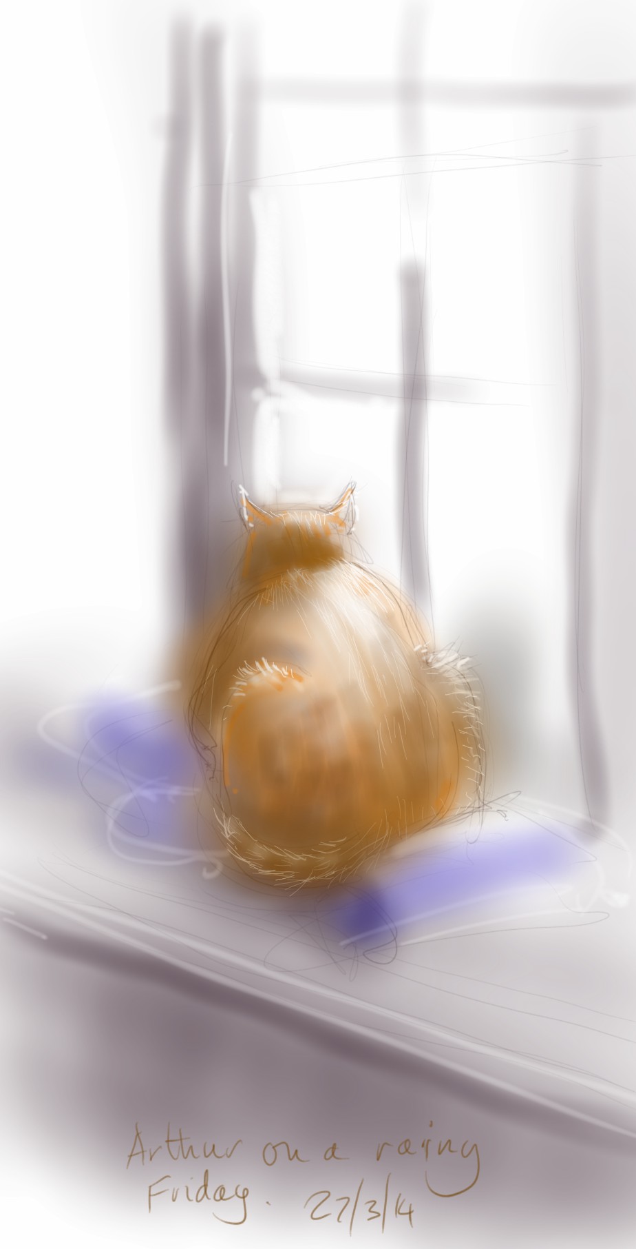 Arthur Cat on the windowsill