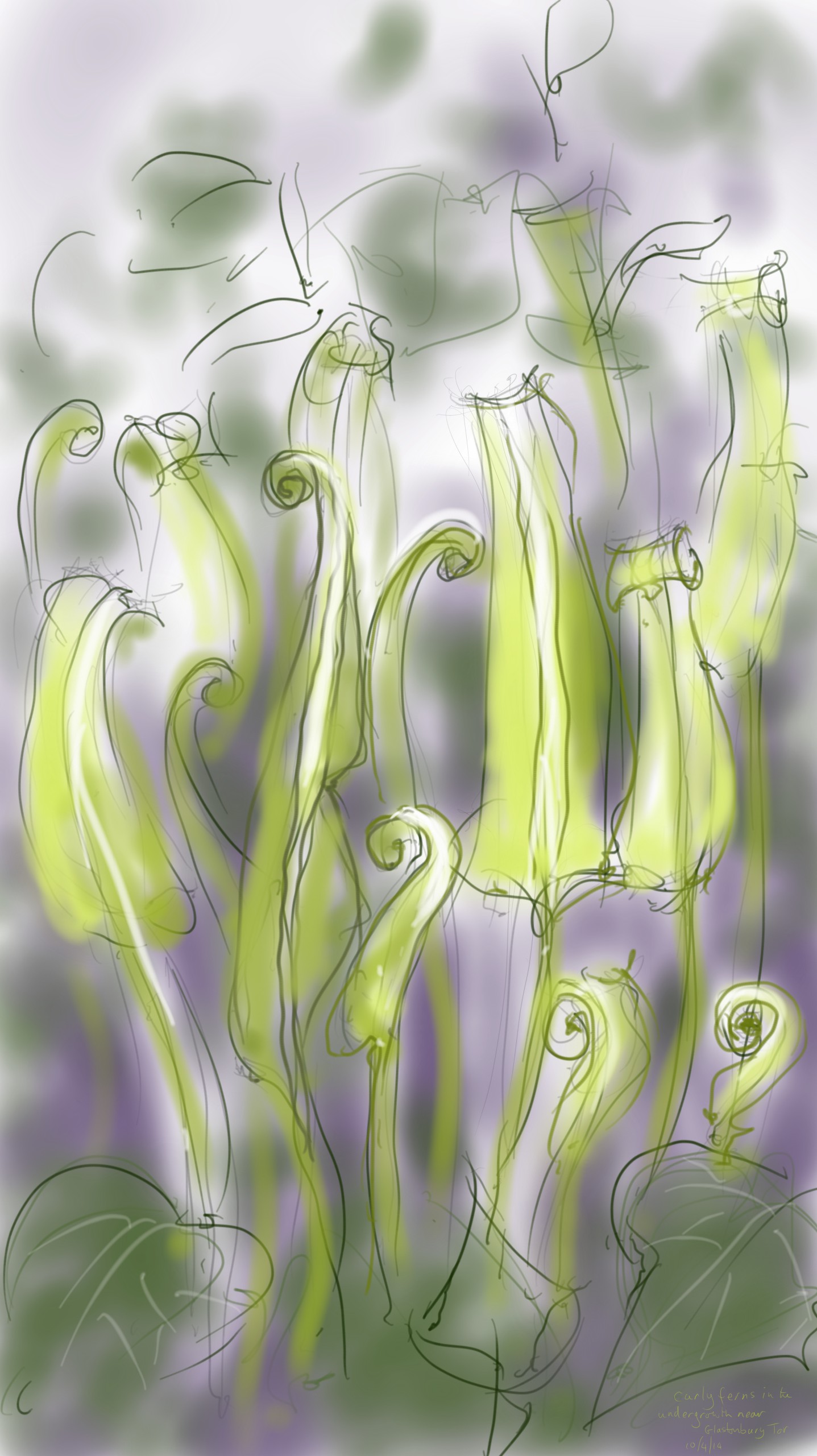 unfurling ferns