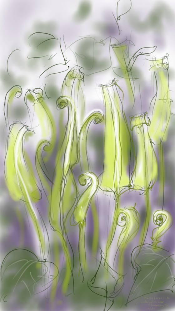 unfurling ferns