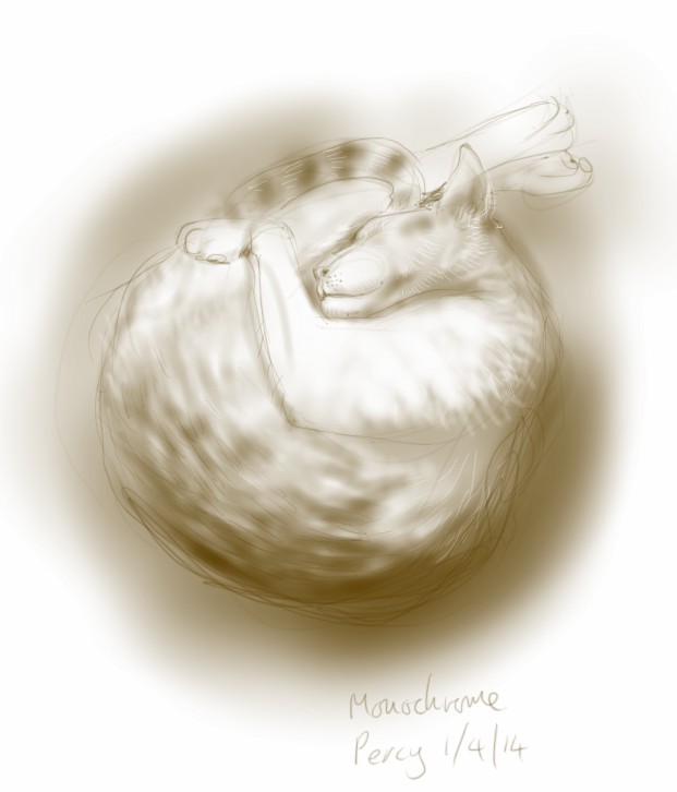 Monochrome Percy Cat