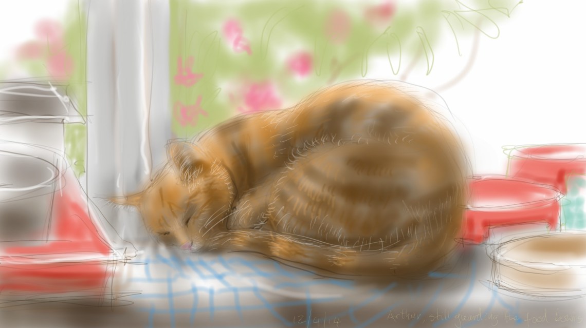 Arthur Cat, still guarding the food bowls