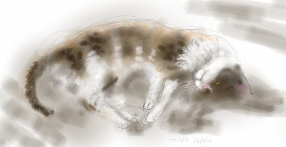 Stiletto Cat, sunbathing