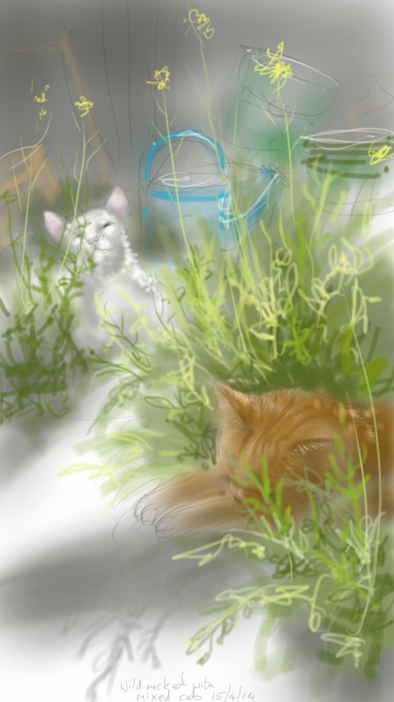 Wild rocket and no cats at all