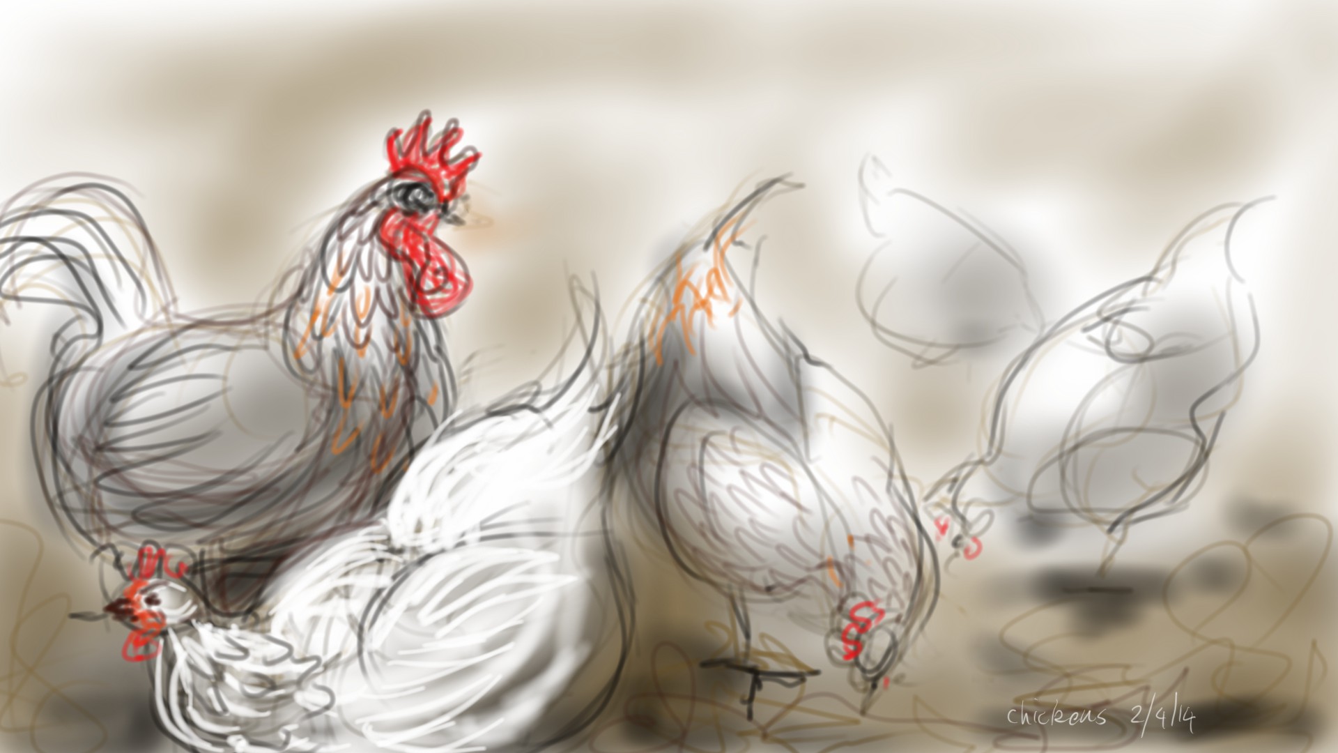 chickens pecking