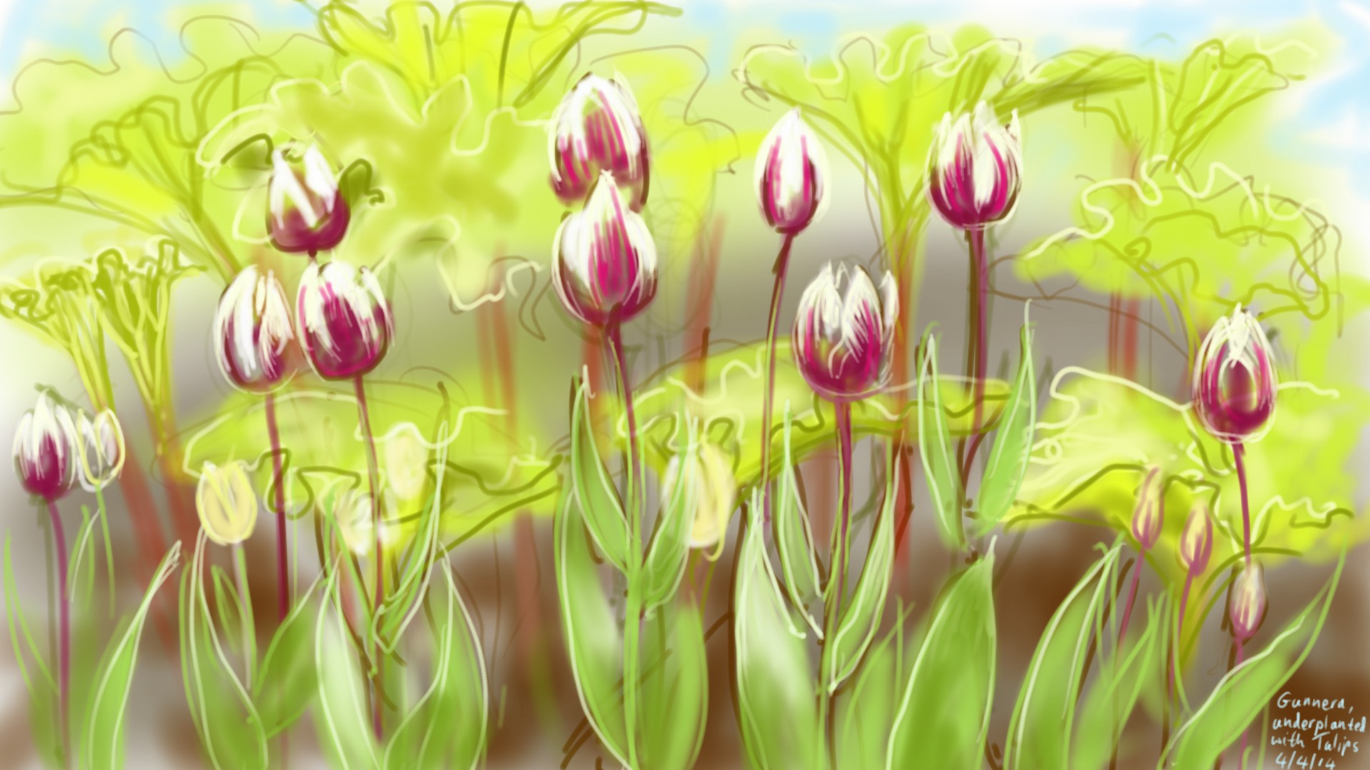 tulips and gunnera