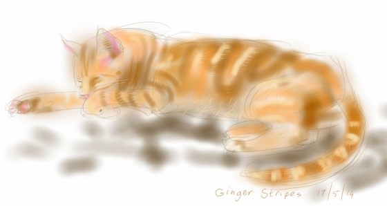 Ginger Stripes