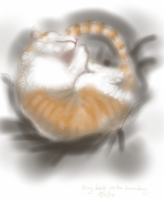 Percy, back on the beanbag