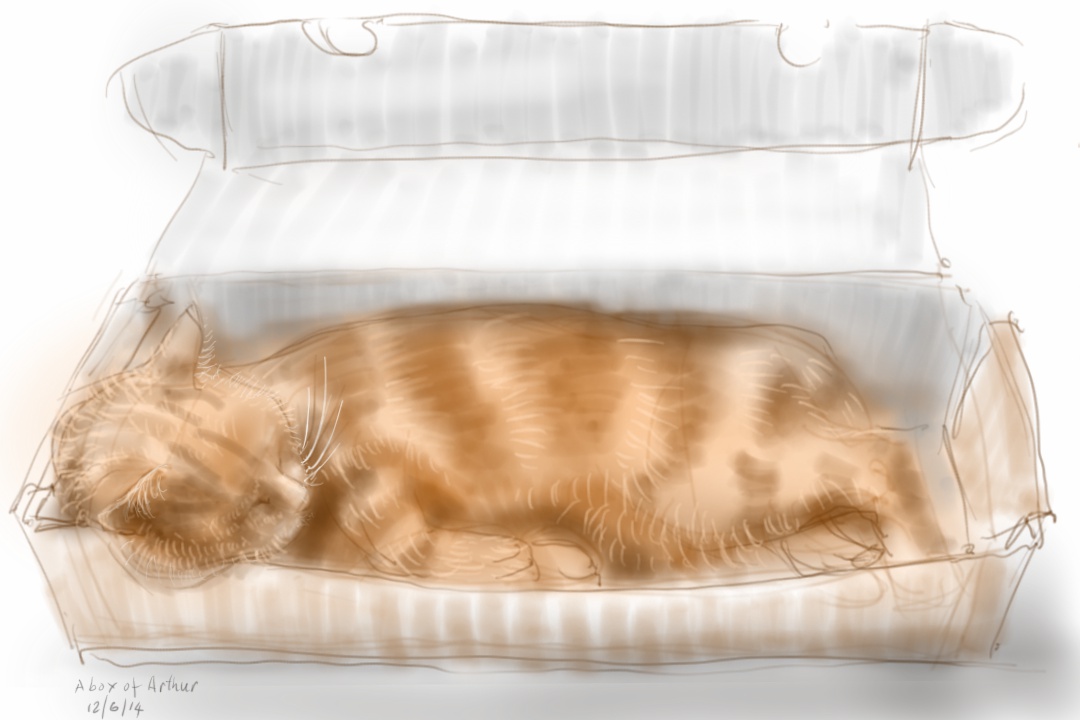 Arthur Cat in a box