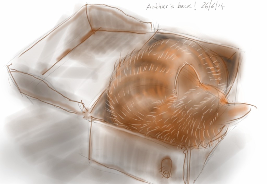 Arthur cat in a box again
