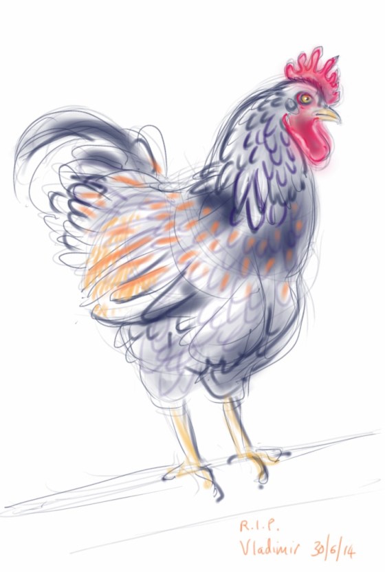 Vladimir the cockerel