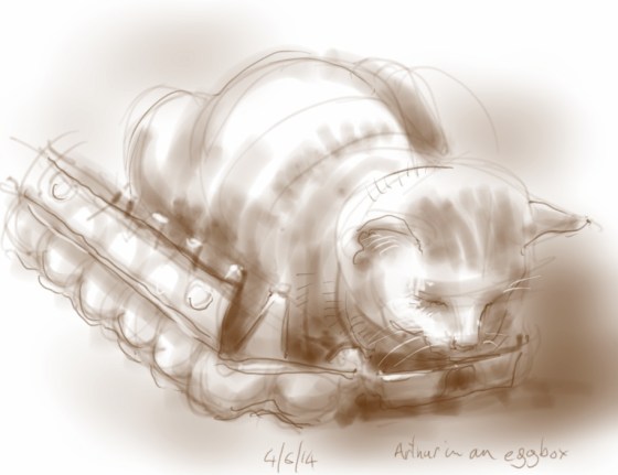 Arthur Cat in an egg box