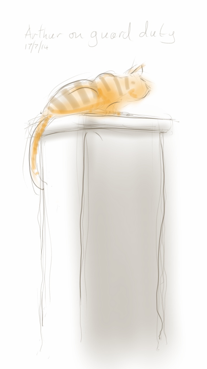 Arthur Cat, guarding