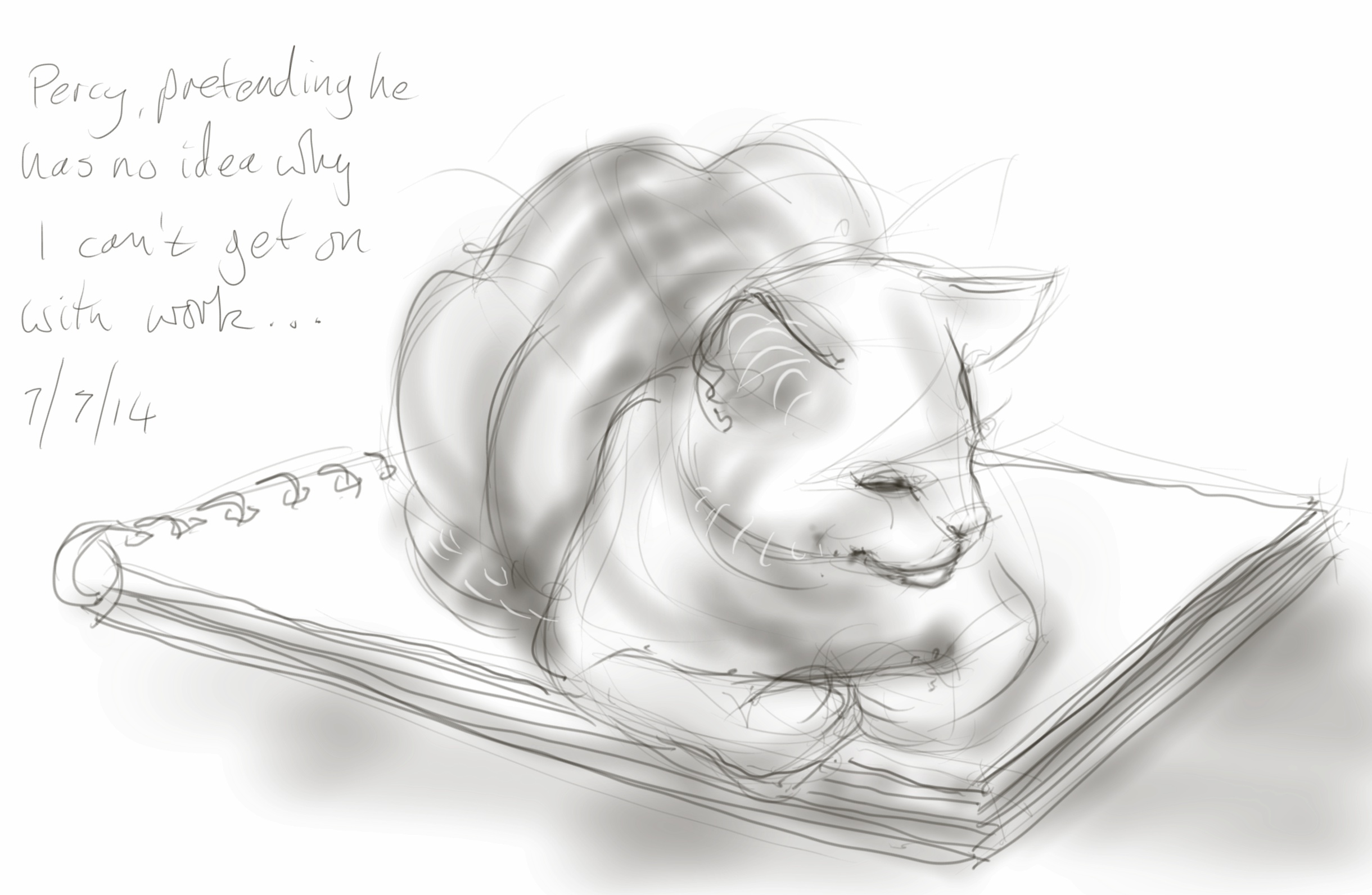 Percy Cat claims squatter's rights