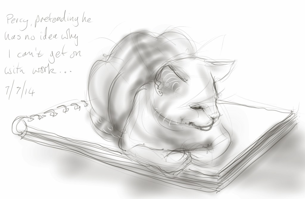 Percy Cat claims squatter's rights