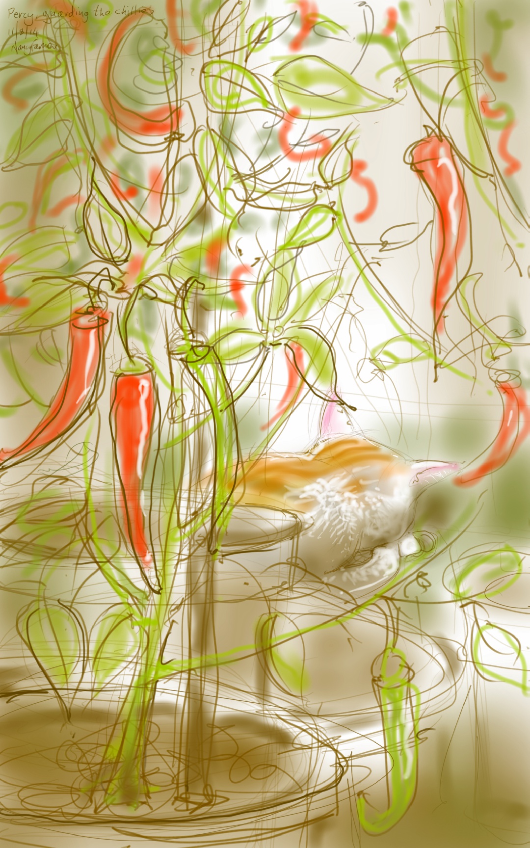 Percy Cat amongst the Chillies