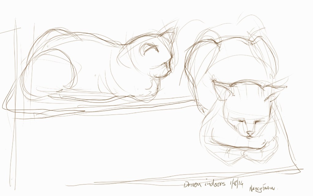 More doormat-guarding