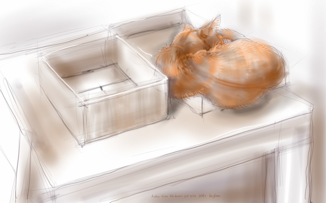 Goldilocks and the three Boxes