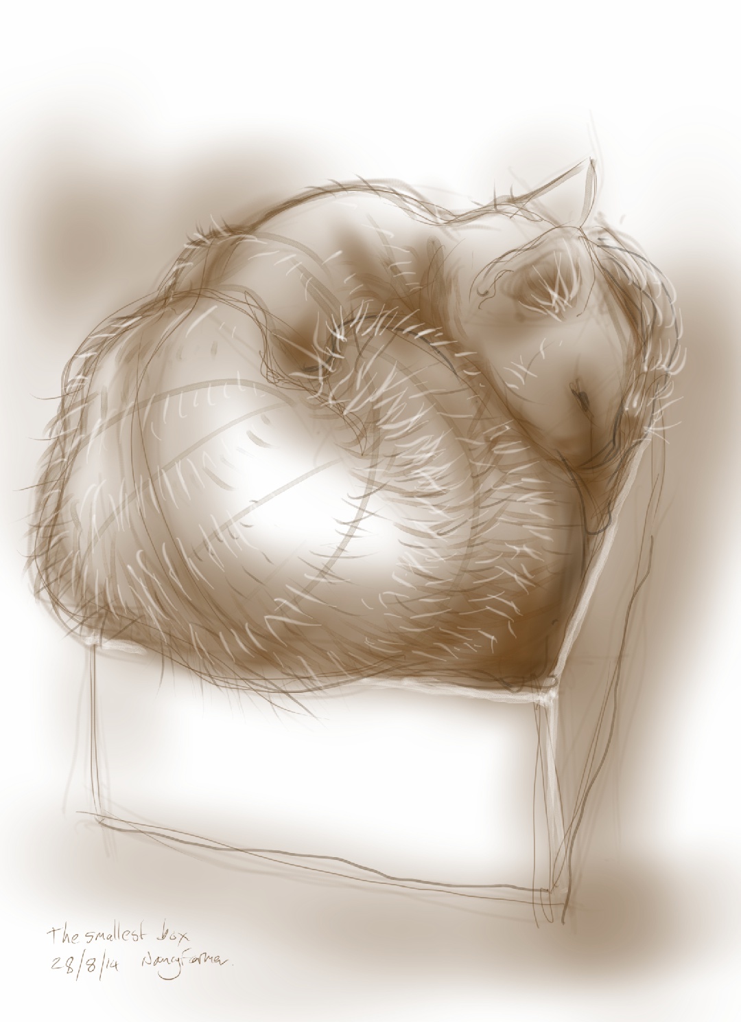 Arthur's new favourite box