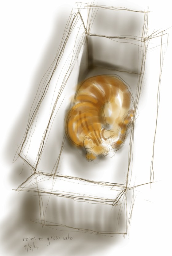 Arthur Cat thinks Big