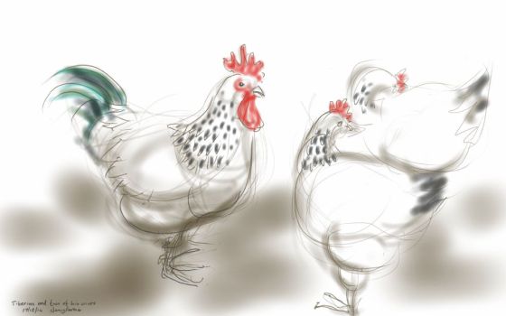 Tiberius the Cockerel, with two of his wives