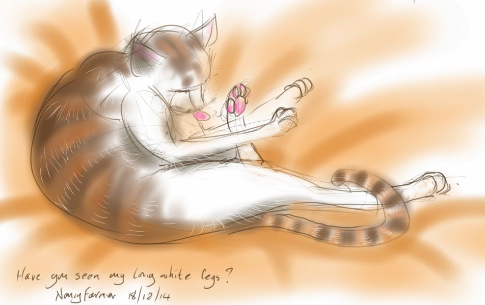 Percy Cat's long white legs