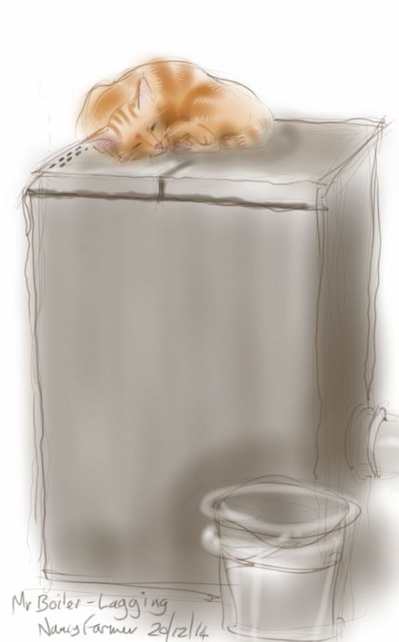 Mr Boiler-Lagging