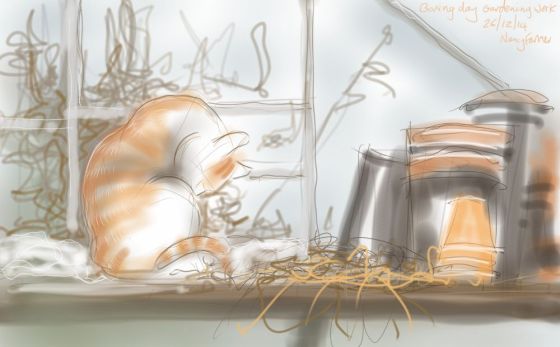 Boxing Day gardening.