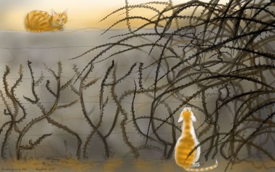 The Theory of Brambles 2015