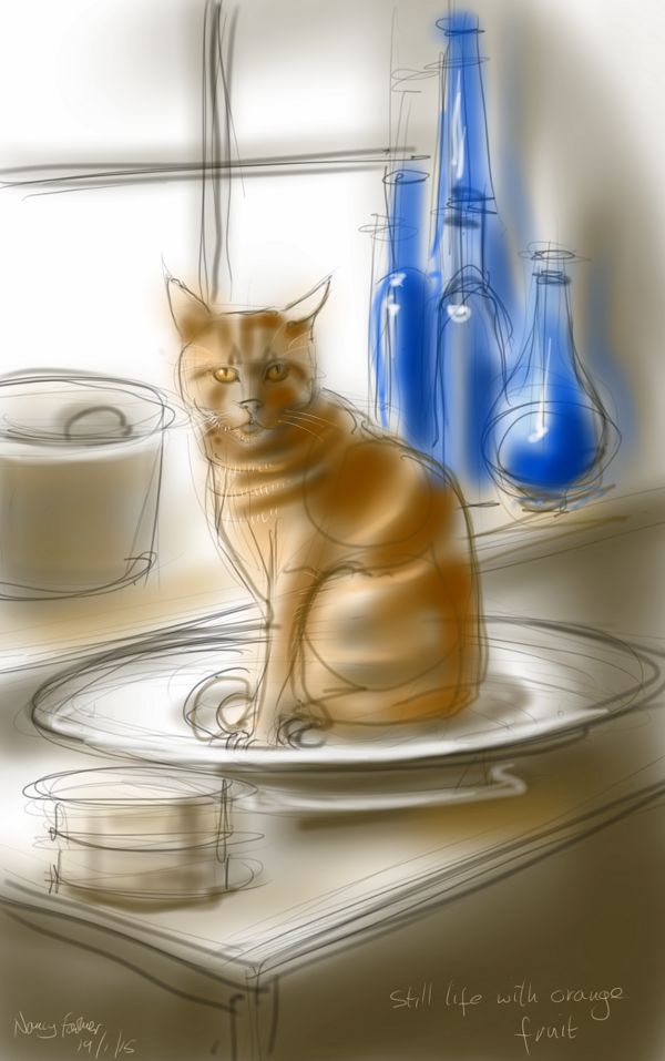 Still Life with Orange Fruit