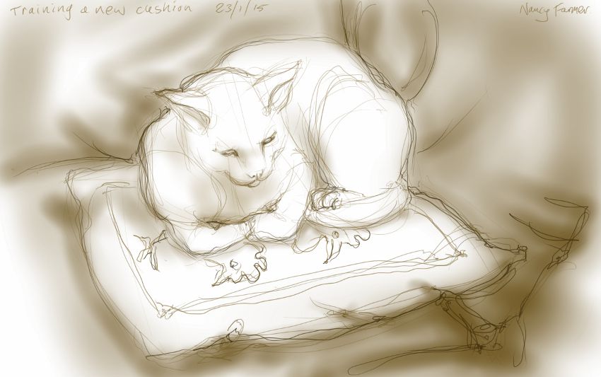 How to train a cushion