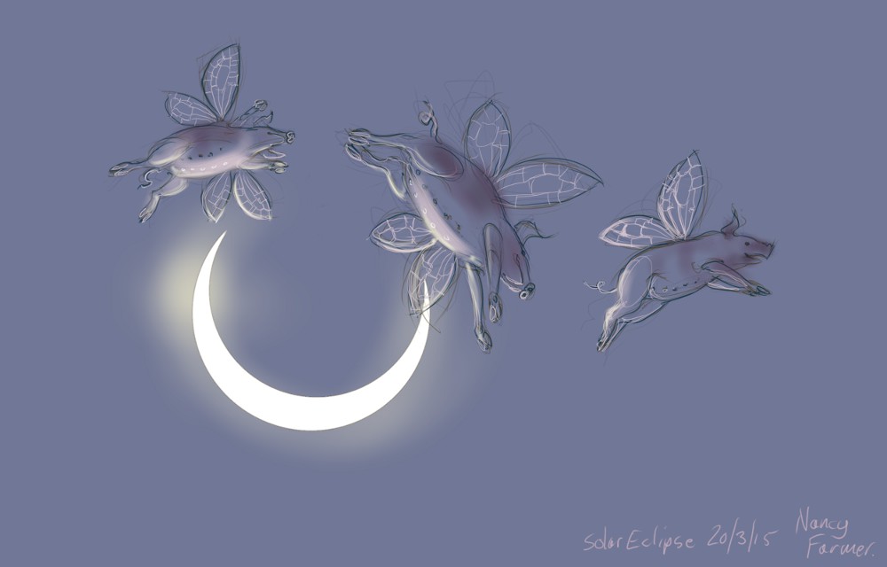 Solar Eclipse 20.03.2015