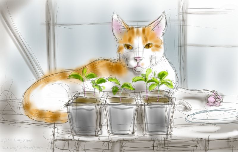 Guarding the Aubergines against the carelessness of one's human