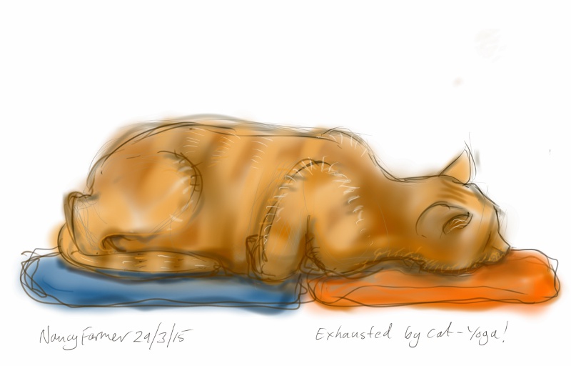 Exhausted by Cat-yoga