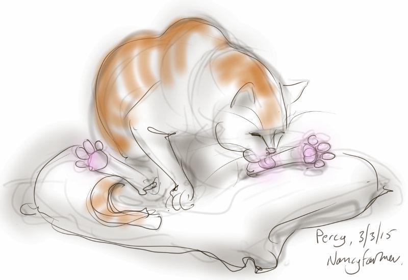 Percy's Toes