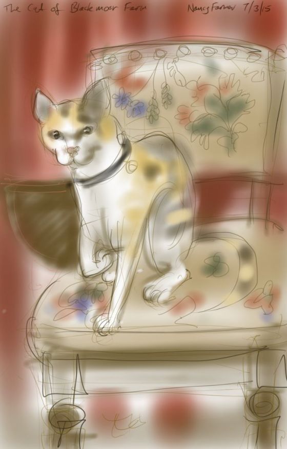 The Cat of Blackmore