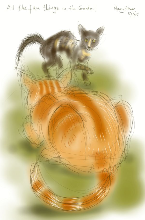 All the fun things in the Garden