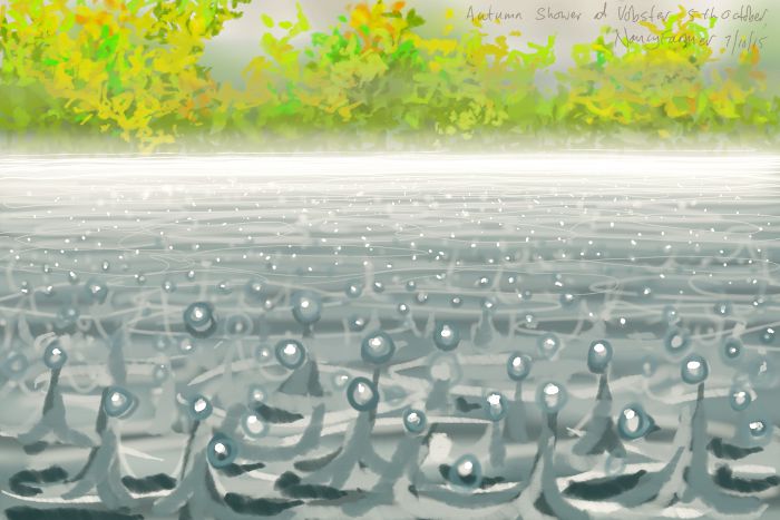 Raindrops on water, at Vobster