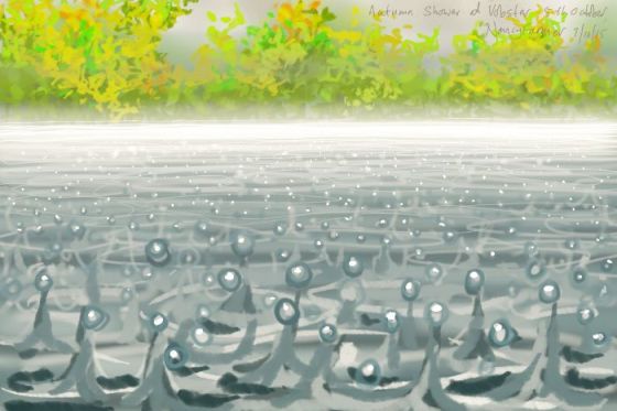 Raindrops on water, at Vobster