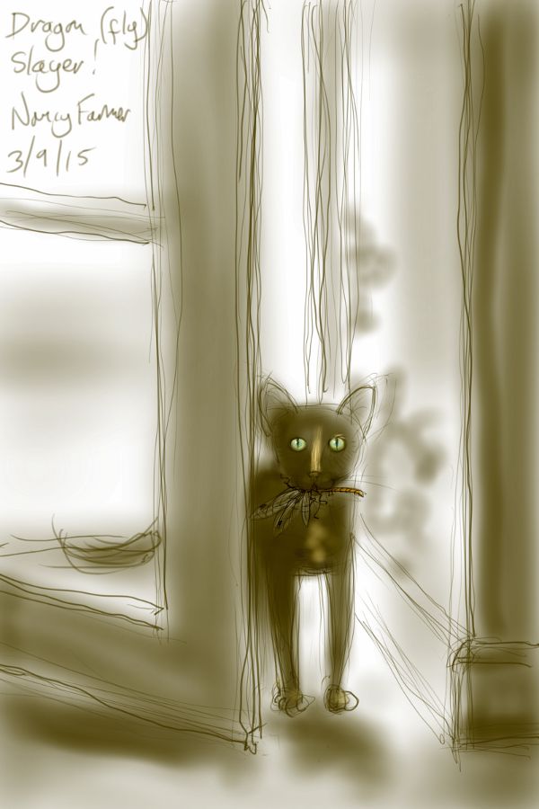 The Dragon(fly) Slayer