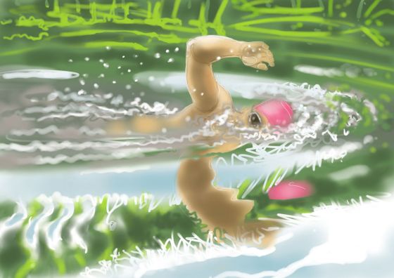 commission - David Coleman