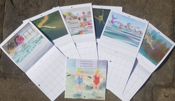 "Facing the Storm" - a 2021 Calendar by Nancy Farmer