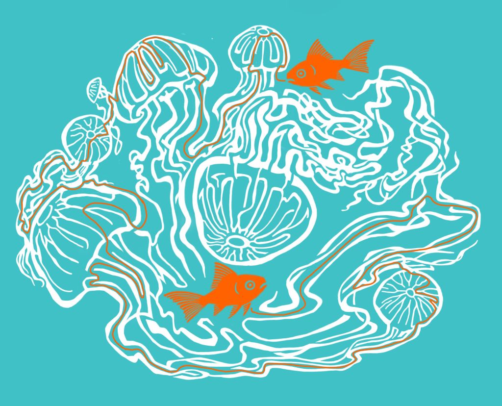 "Jelly Fish Maze" - the way out....