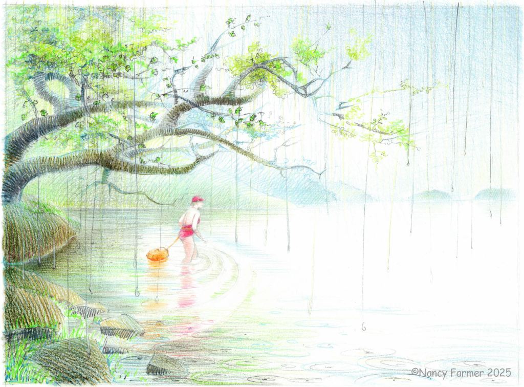 "The Master Faffer" - drawing by Nancy Farmer